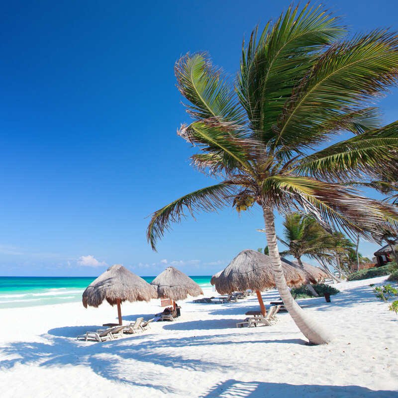 Palm Trees And Beach Huts In Tropical Beach, Mexican Caribbean, Mexico