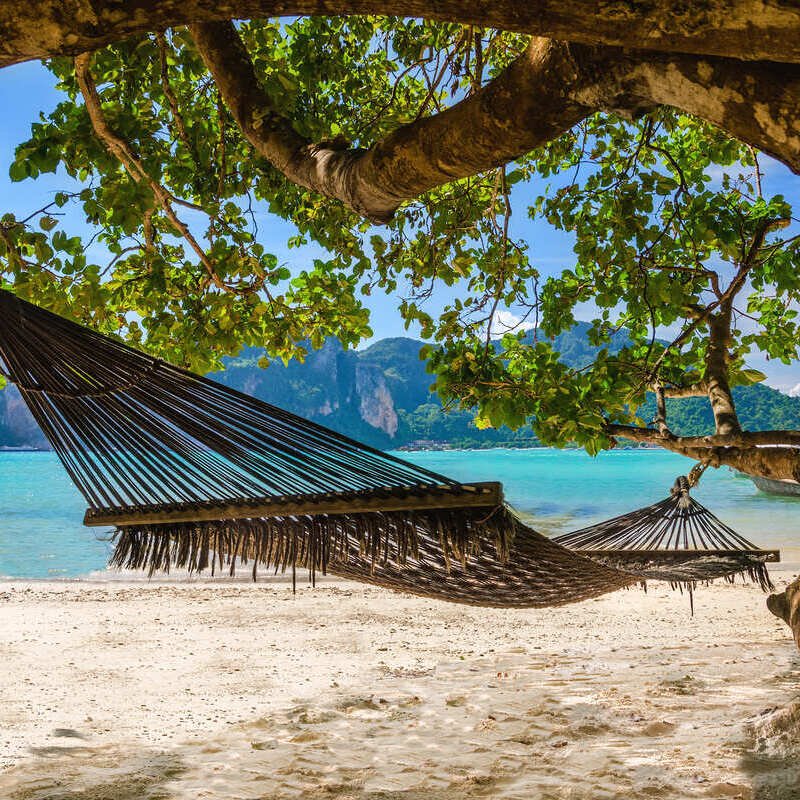 Hammock Under Tree In The Mexican Caribbean, Mexico