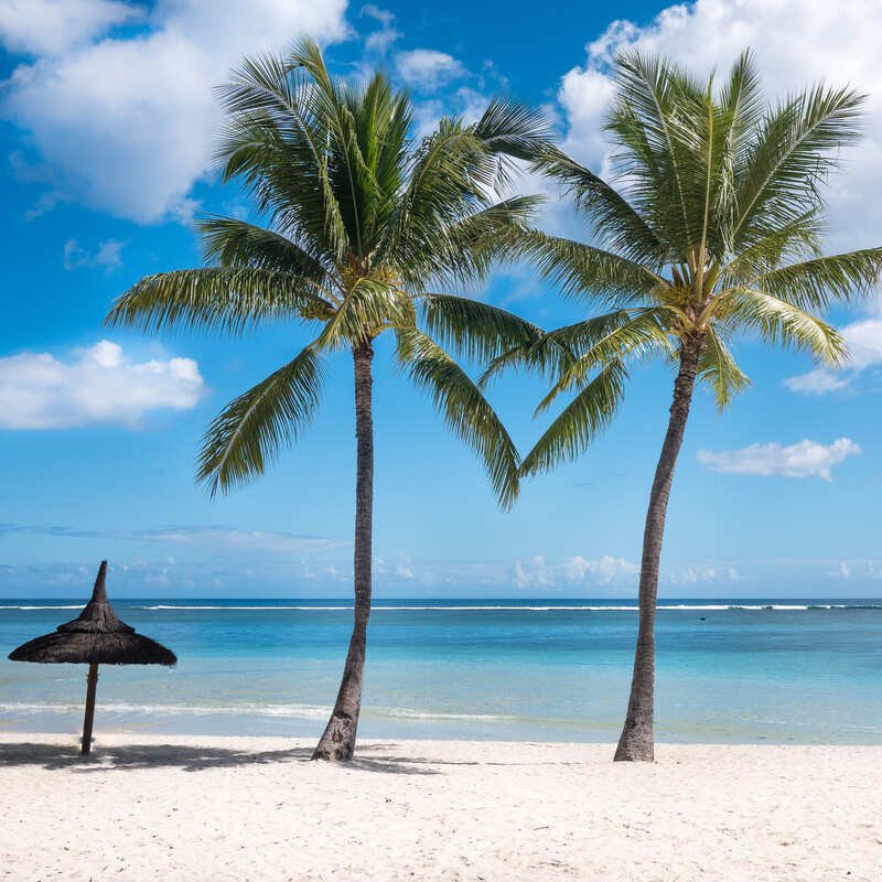 Paradise Beach In Isla Mujeres, Mexican Caribbean