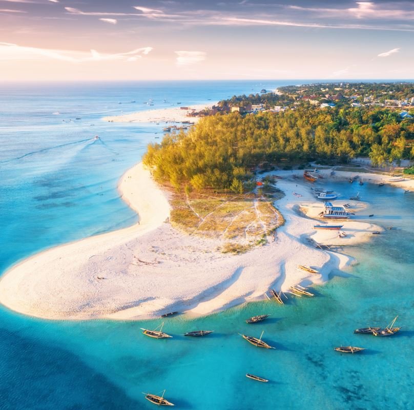 Aerial View of beach in zanzibar, tanzania