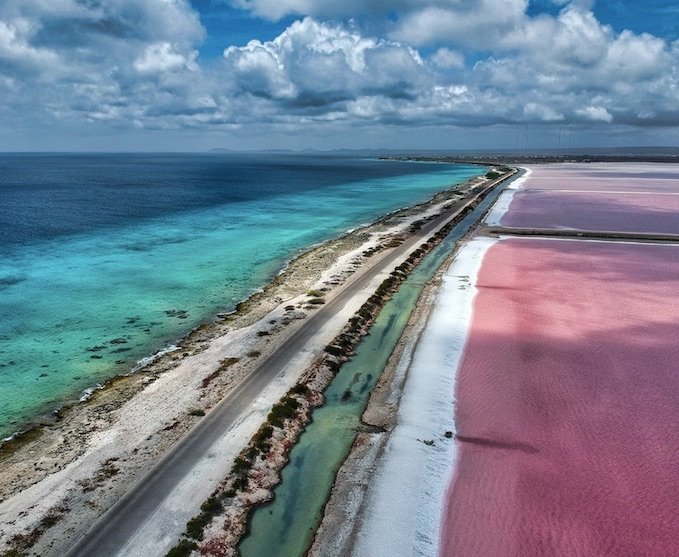 bonaire salt flats