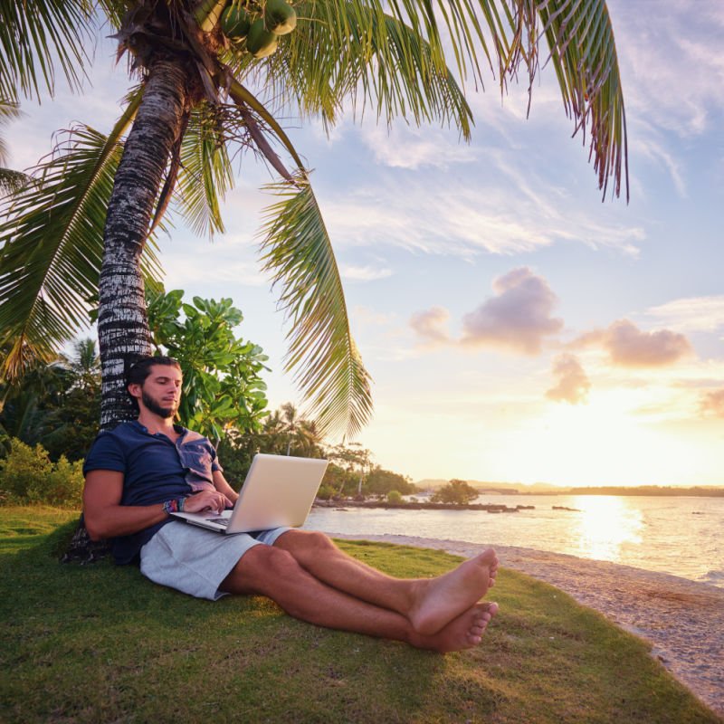 man under palm tree with laptop