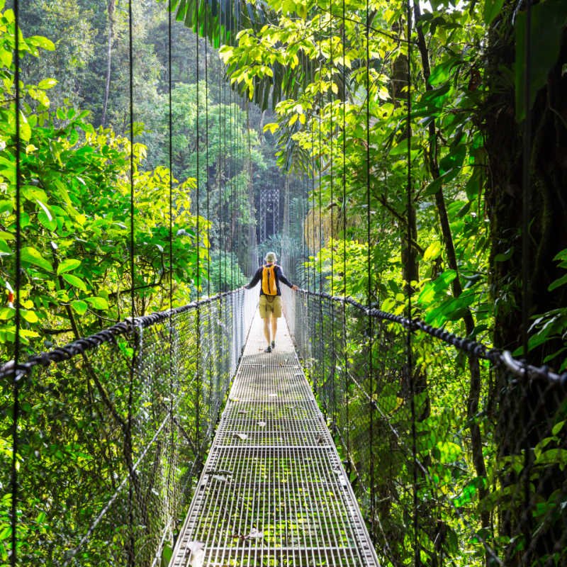 Hiking in green tropical jungle, Costa Rica, Central America 