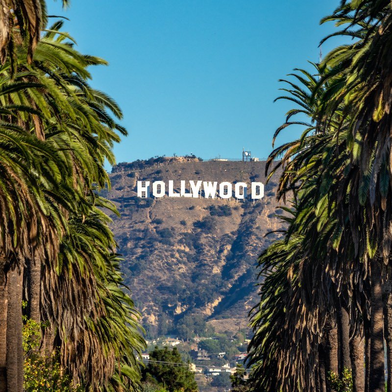 19 october 2018 - Los Angeles, California. USA: Hollywood Sign between Palm trees from central Los Angeles