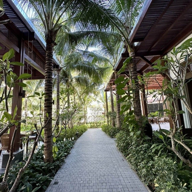 A Pathway Lined By Green Foliage In The Anam Mui Ne, A Boutique Hotel In Southern Vietnam, Southeast Asia