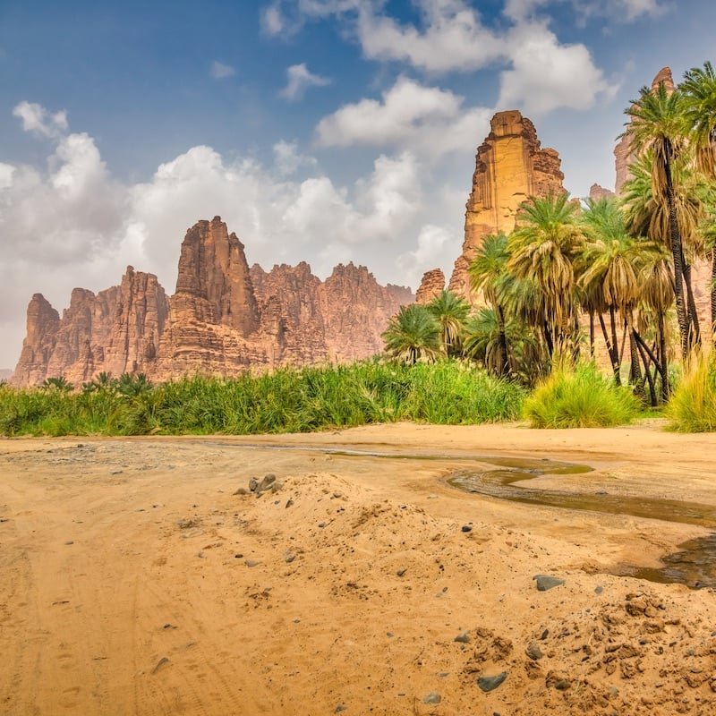 Wadi Al Disah Saudi Arabia