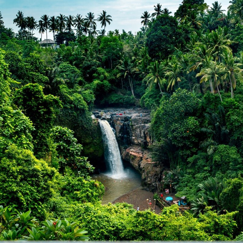 hidden waterfall in Bali