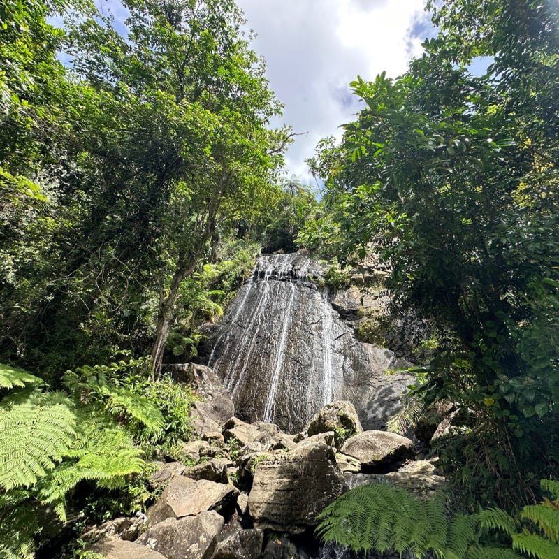 El Yunque National Park La Coca