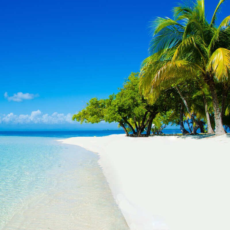 A White Sand Beach Bounded By Palm Trees On The Caribbean Coast Of Belize, Central America