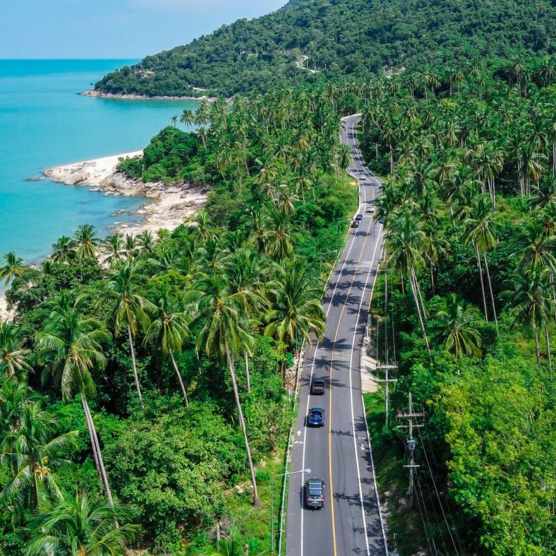 lush vegetation and ocean in sichon Thailand