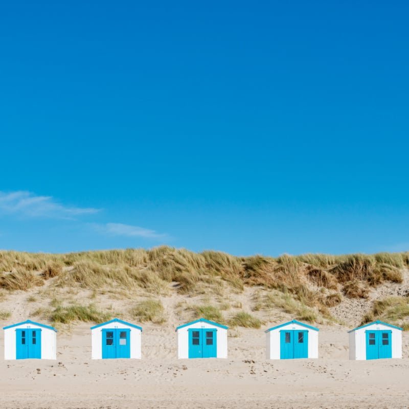 Beach houses in the dunes at the beach on Texel island in the Netherlands