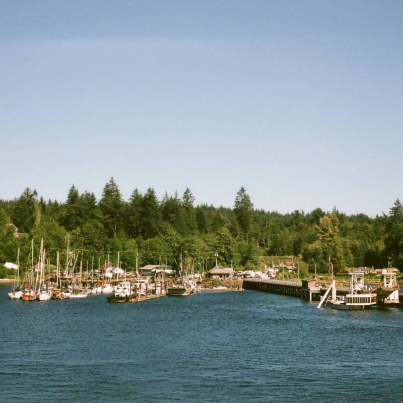 First sights of Quadra Island, BC from an inbound ferry.