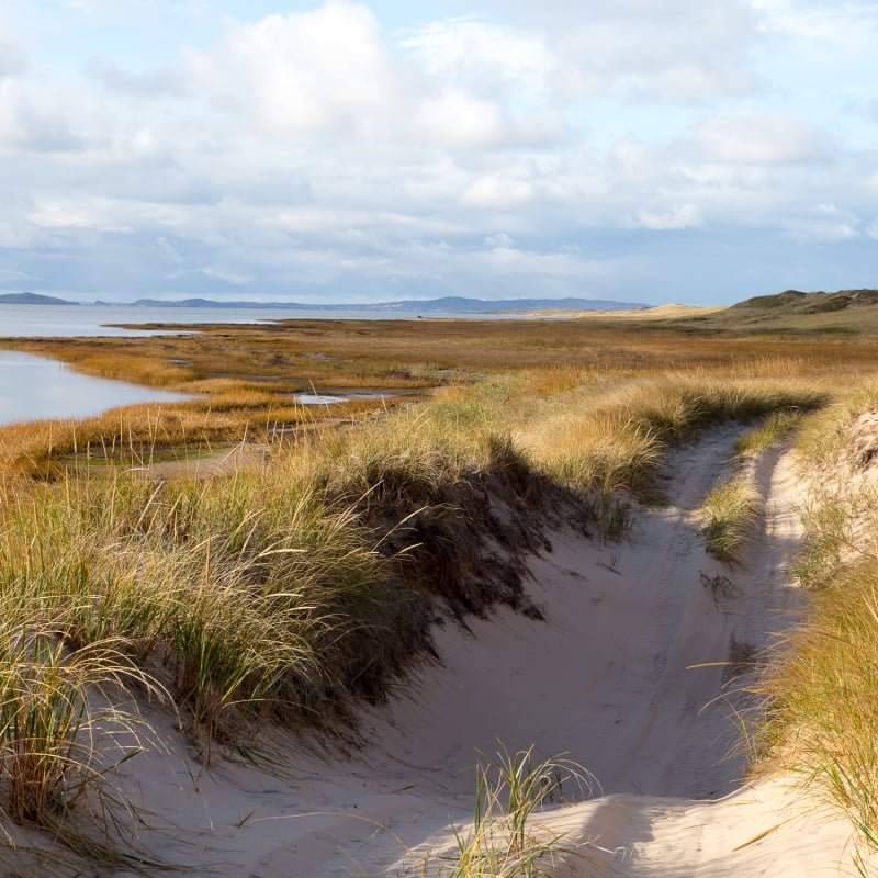 Pretty landscape of path on sand dunes and grasses on Pointe aux Loups Island seen during a sunny morning, Magdalen Islands, Quebec, Canada