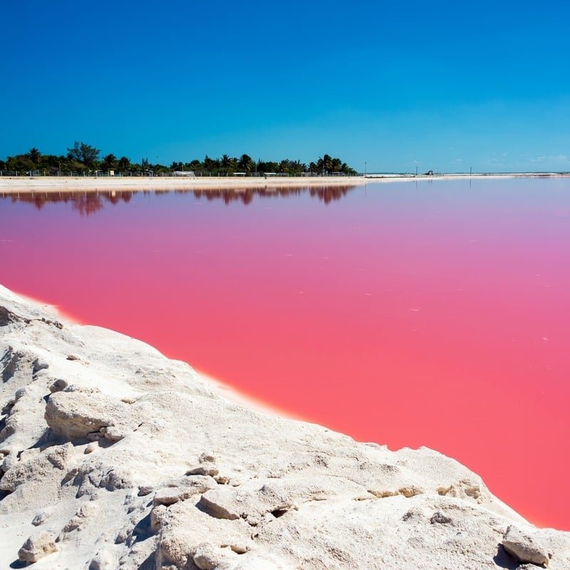 The Pink Colored Las Coloradas Lake Near Rio Lagartos, State Of Yucatan, Mexico