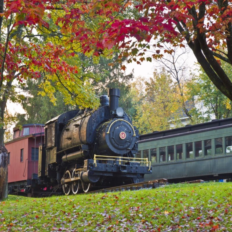 A vintage locomotive, caboose and passenger car amidst the falling Autumn leaves at the Delaware & Ulster Railroad depot in Arkville, NY