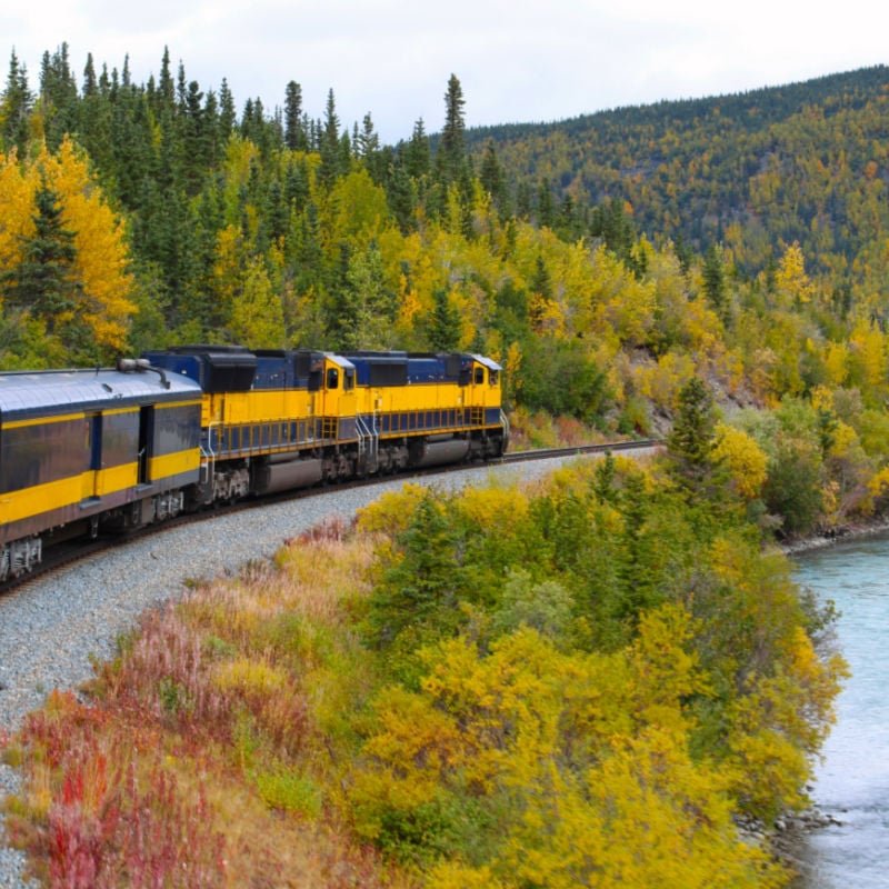 beautiful fall train ride usa foliage copy