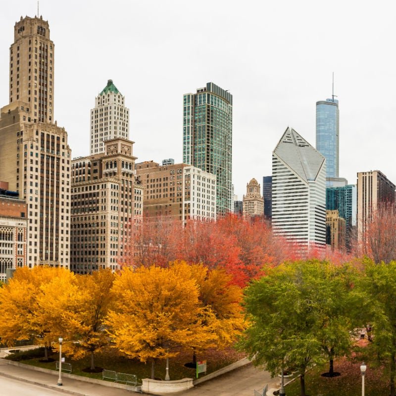 chicago skyline in fall