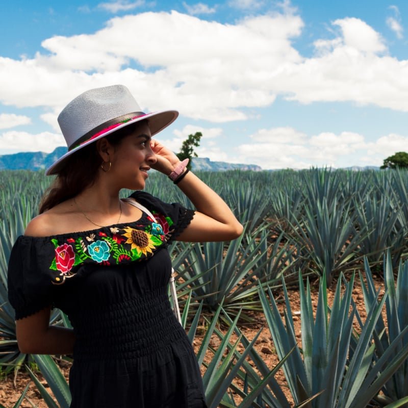 woman in agave fields of jalisco