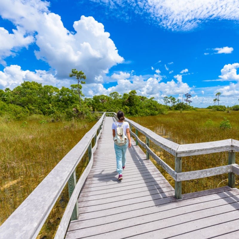 Everglades National Park