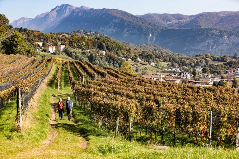 The Most Stunning Autumn Walks in Ticino’s Sea of Colours