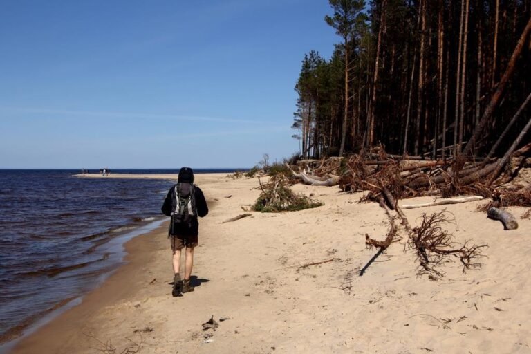 Gauja National Park Offers Visitors Hiking Trails and Charming Towns