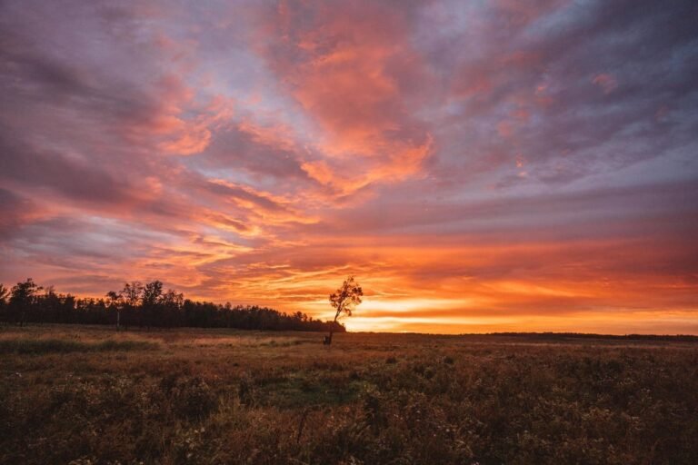 Investing in Indigenous Tourism May be Key to Regenerative Future