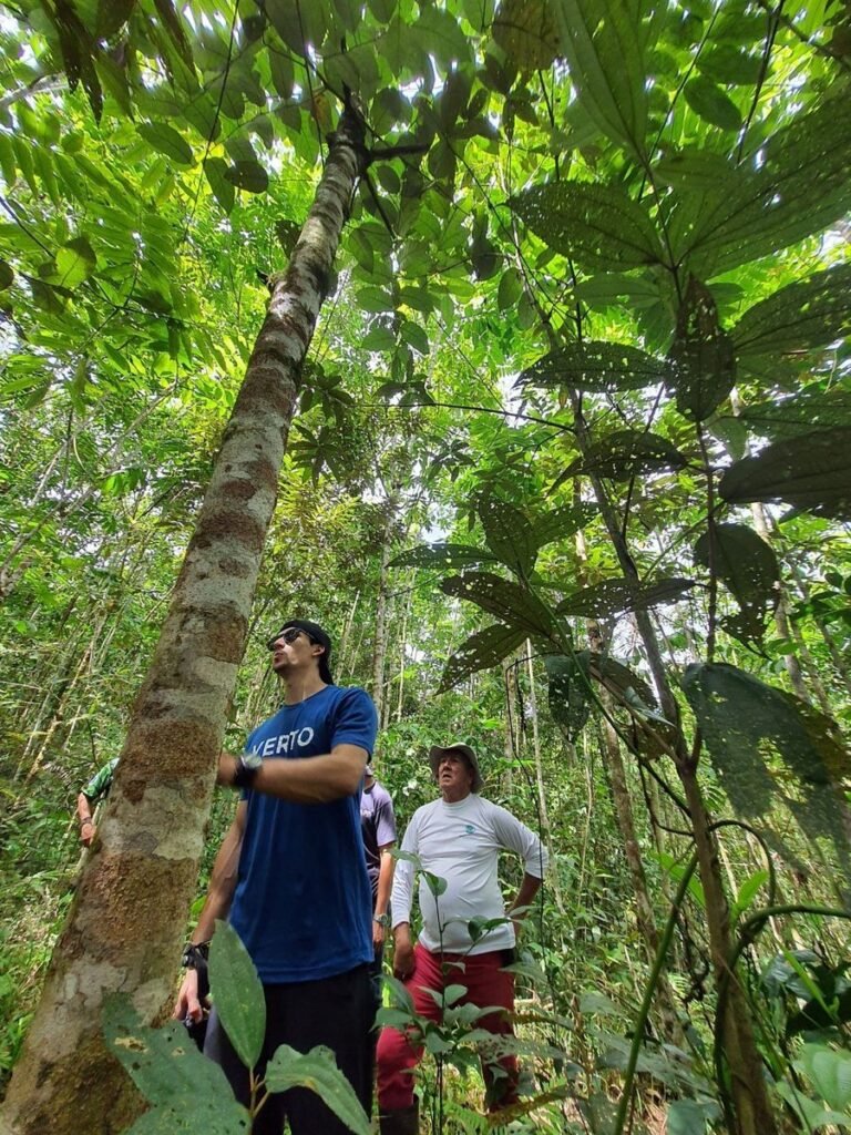 Historic ATTA Carbon-Neutral Forest is Flourishing