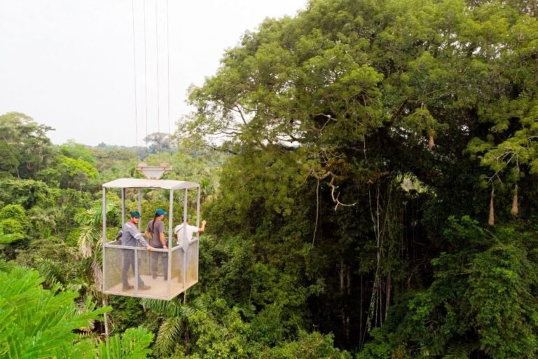 Sacha Lodge Unveils Amazon’s First Canopy Exploration Crane