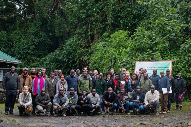 The Future of Gorillas and Chimpanzees in the Albertine Rift