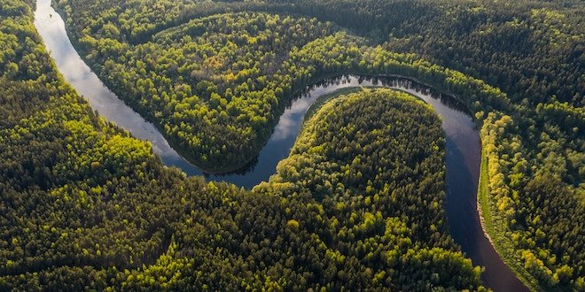 An extraordinary journey to the Amazon rainforest, Ecuador