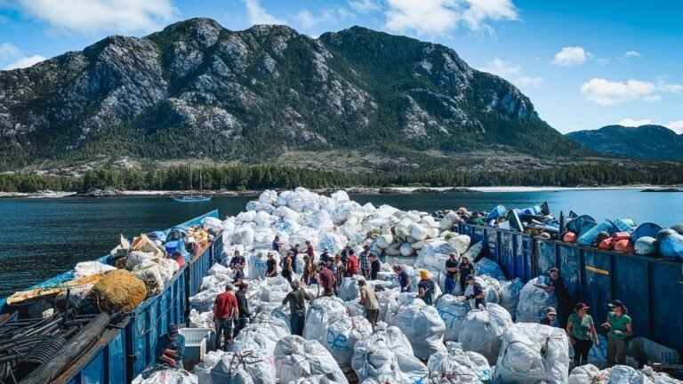 The Story of One of the Biggest Coastal Cleanups Ever