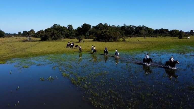 New Documentary Series “Mato Grosso do Sul: A Leading Advocate for Ecotourism Worldwide”