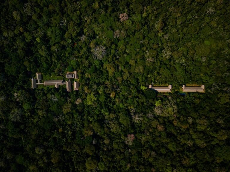 Tambopata Research Center Wins South America’s Green Hotel Category at the World Travel Awards for the Fourth Consecutive Year