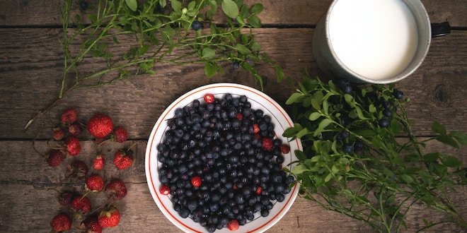 A Guide to Foraging Wild Berries