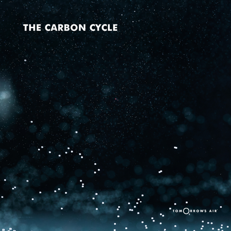 Visualize the Carbon Cycle Through Landscapes