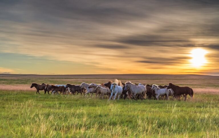 Mongolia’s Wide Open Spaces Offer Endless Possibilities for Adventure