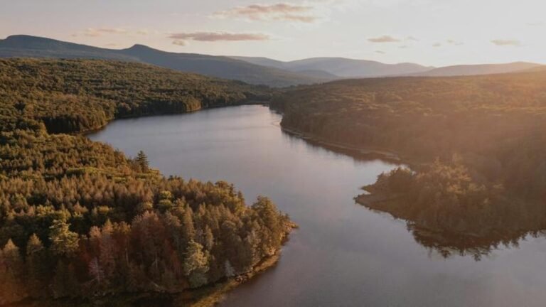 GLP Films Partners With New York’s Finger Lakes Region on New Sustainability Rebrand