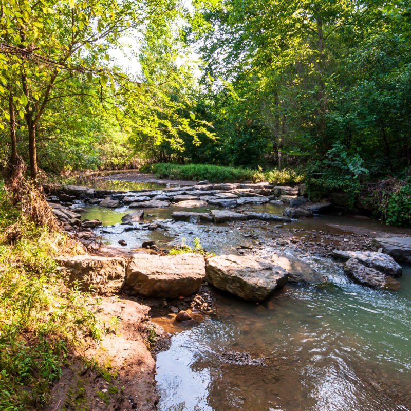 A stream in Frick Park, Pittsburgh, Pennsylvania