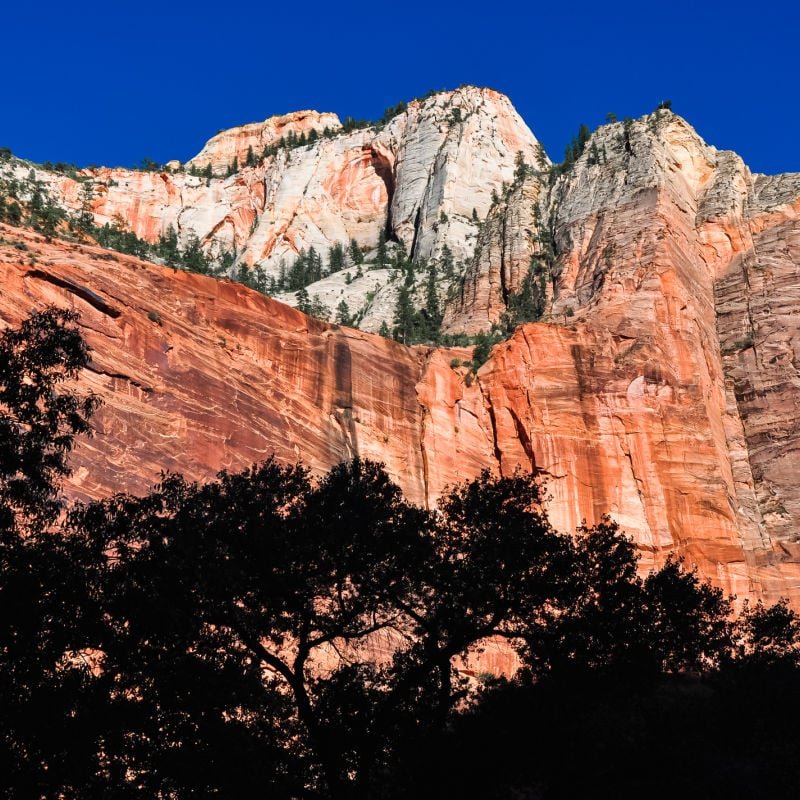 stunning red rock cliff face against blue sky in zion national park utah